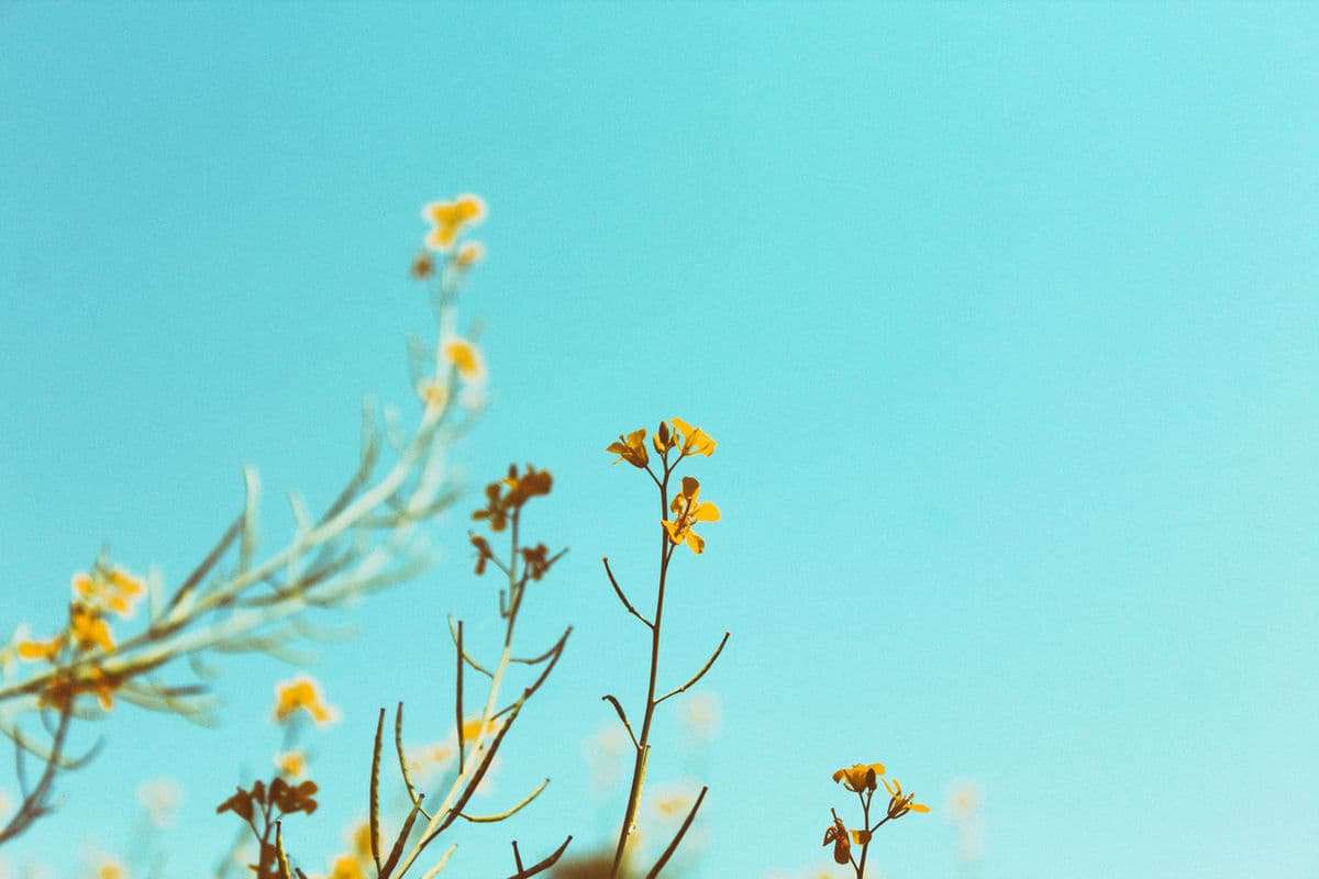 The Gift of Authenticity